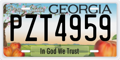 GA license plate PZT4959