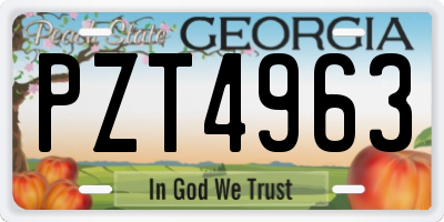 GA license plate PZT4963
