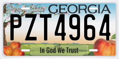 GA license plate PZT4964