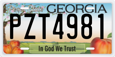 GA license plate PZT4981