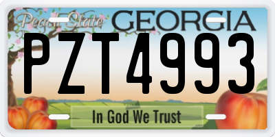 GA license plate PZT4993