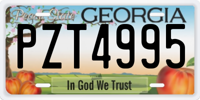 GA license plate PZT4995