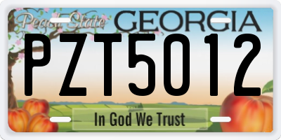 GA license plate PZT5012