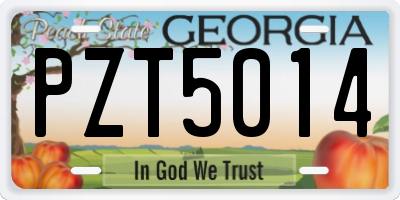 GA license plate PZT5014