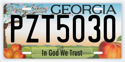 GA license plate PZT5030