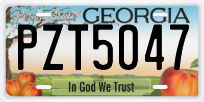 GA license plate PZT5047