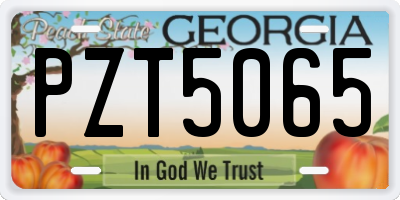GA license plate PZT5065