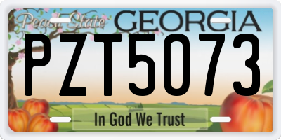 GA license plate PZT5073