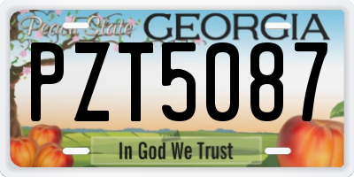 GA license plate PZT5087