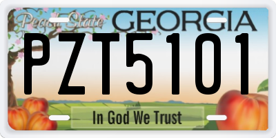 GA license plate PZT5101
