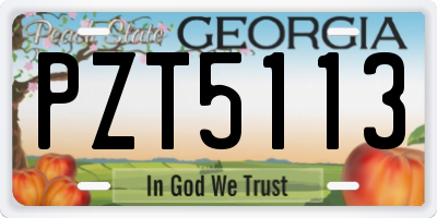 GA license plate PZT5113