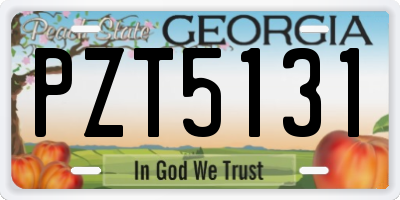 GA license plate PZT5131