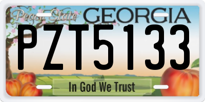 GA license plate PZT5133