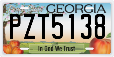 GA license plate PZT5138
