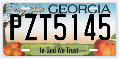 GA license plate PZT5145