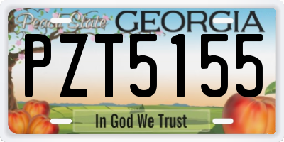 GA license plate PZT5155