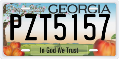 GA license plate PZT5157