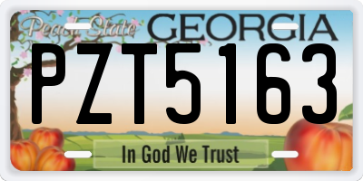 GA license plate PZT5163