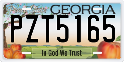 GA license plate PZT5165
