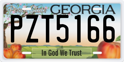 GA license plate PZT5166