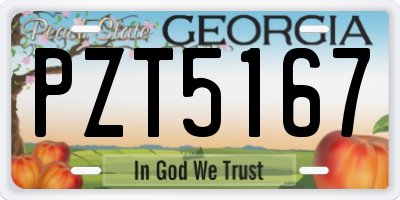 GA license plate PZT5167