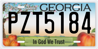 GA license plate PZT5184