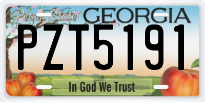 GA license plate PZT5191
