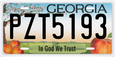 GA license plate PZT5193