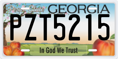 GA license plate PZT5215