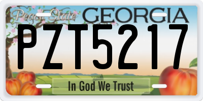 GA license plate PZT5217