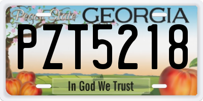 GA license plate PZT5218