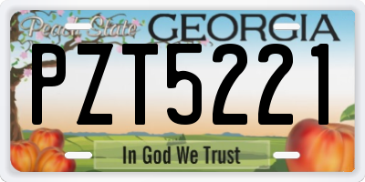 GA license plate PZT5221