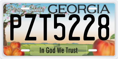 GA license plate PZT5228