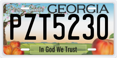GA license plate PZT5230