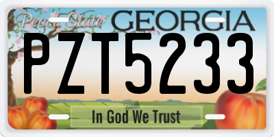 GA license plate PZT5233
