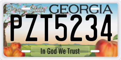 GA license plate PZT5234