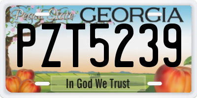 GA license plate PZT5239