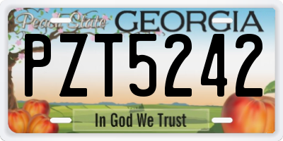 GA license plate PZT5242