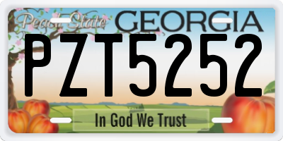 GA license plate PZT5252