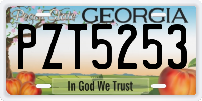 GA license plate PZT5253