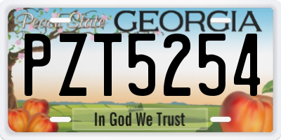 GA license plate PZT5254