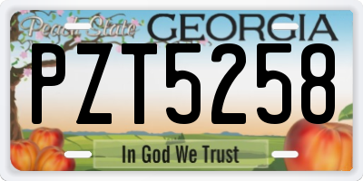 GA license plate PZT5258