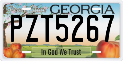 GA license plate PZT5267