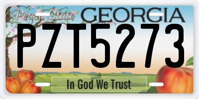 GA license plate PZT5273