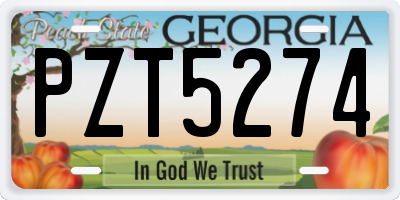 GA license plate PZT5274