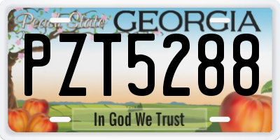 GA license plate PZT5288