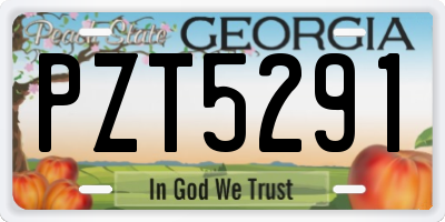 GA license plate PZT5291