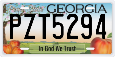 GA license plate PZT5294