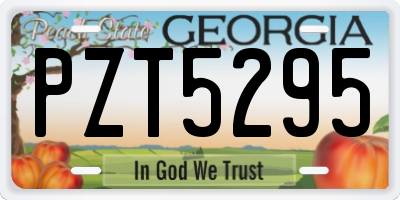 GA license plate PZT5295