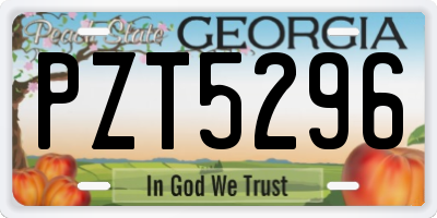 GA license plate PZT5296